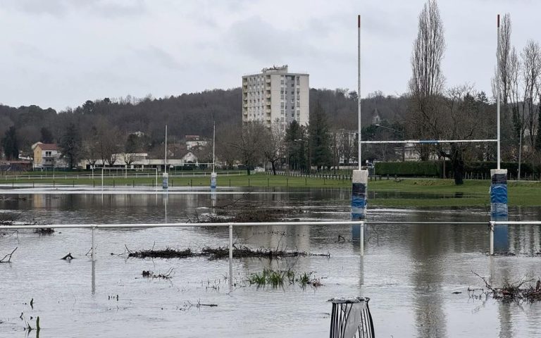 tempête nils : intervention pour débarder un chêne arraché suite aux intempéries.