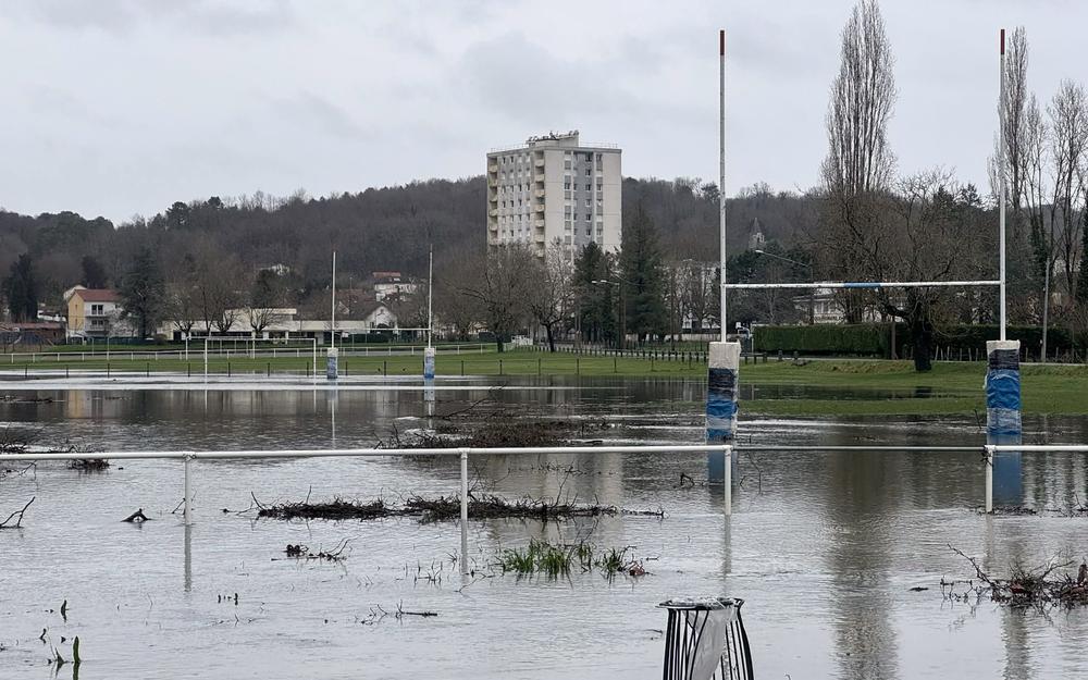 tempête nils : intervention pour débarder un chêne arraché suite aux intempéries.